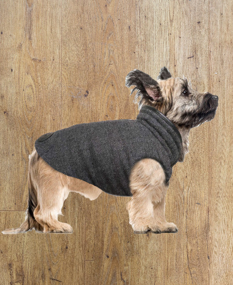 MILK AND PEPPER GRAHAM REVERSIBLE PUFF JACKET image 0