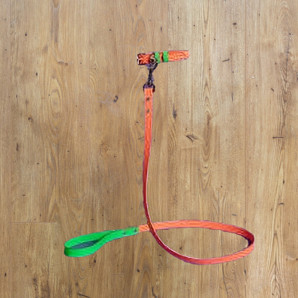 WARE OF THE DOG - NEON ORANGE - GREEN EMBOSSED LEATHER LEAD image 0