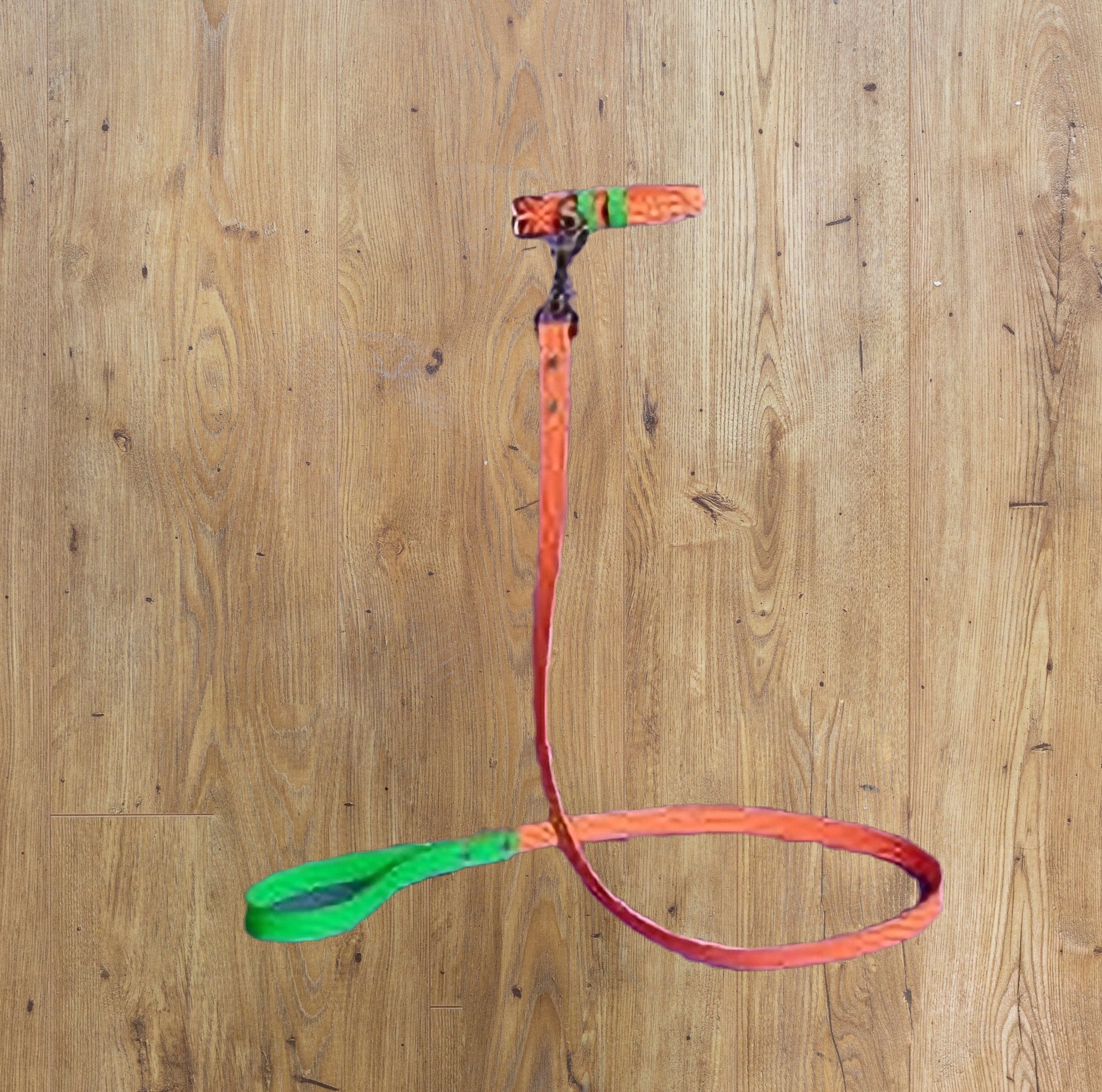 WARE OF THE DOG - NEON ORANGE - GREEN EMBOSSED LEATHER LEAD image 0