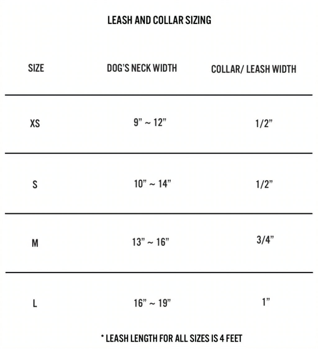 WARE OF THE DOG - NEON ORANGE - GREEN EMBOSSED LEATHER COLLAR image 1
