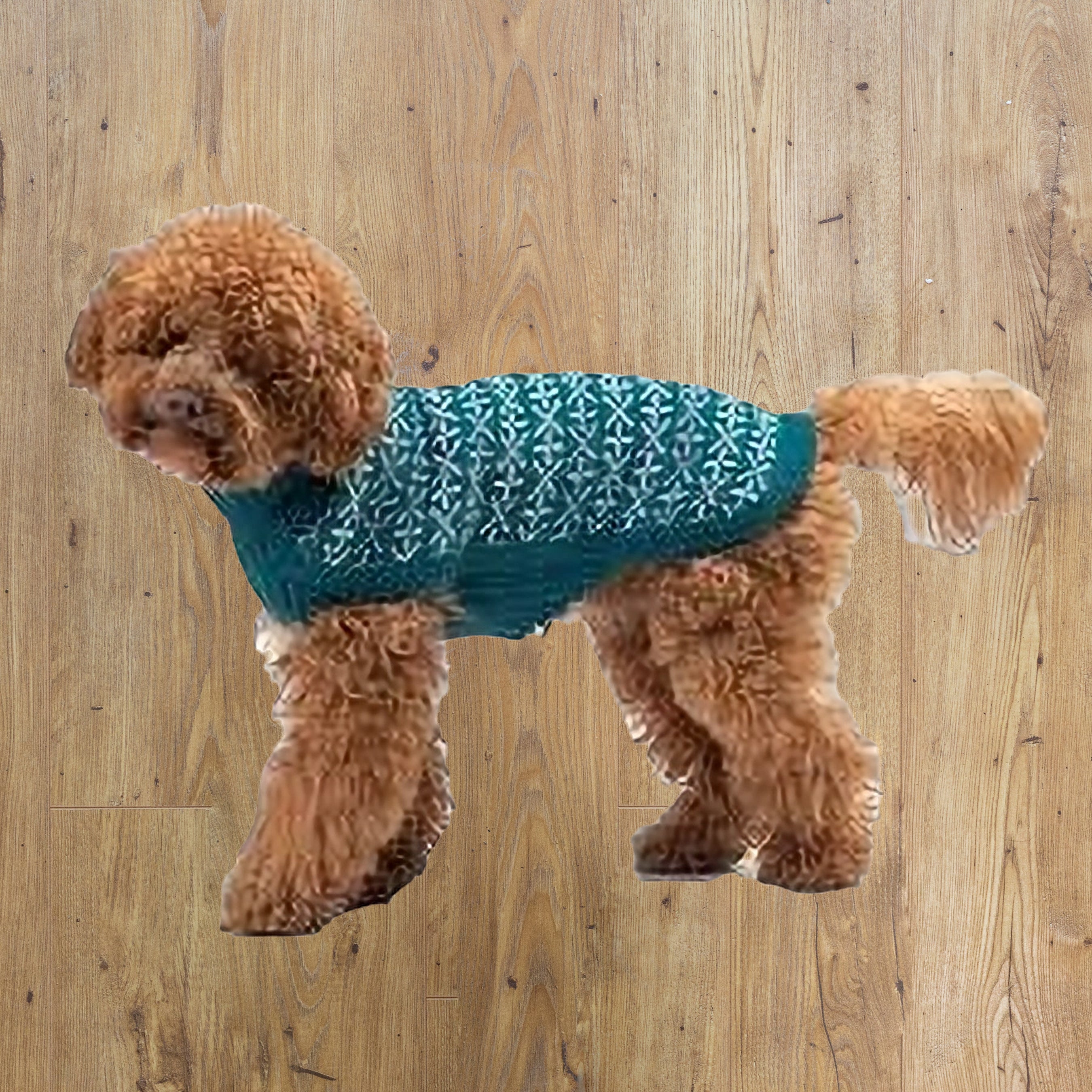 ALQO WASI  SIGNS ALPACA JUMPER image 0