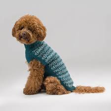 ALQO WASI  SIGNS ALPACA JUMPER image 2