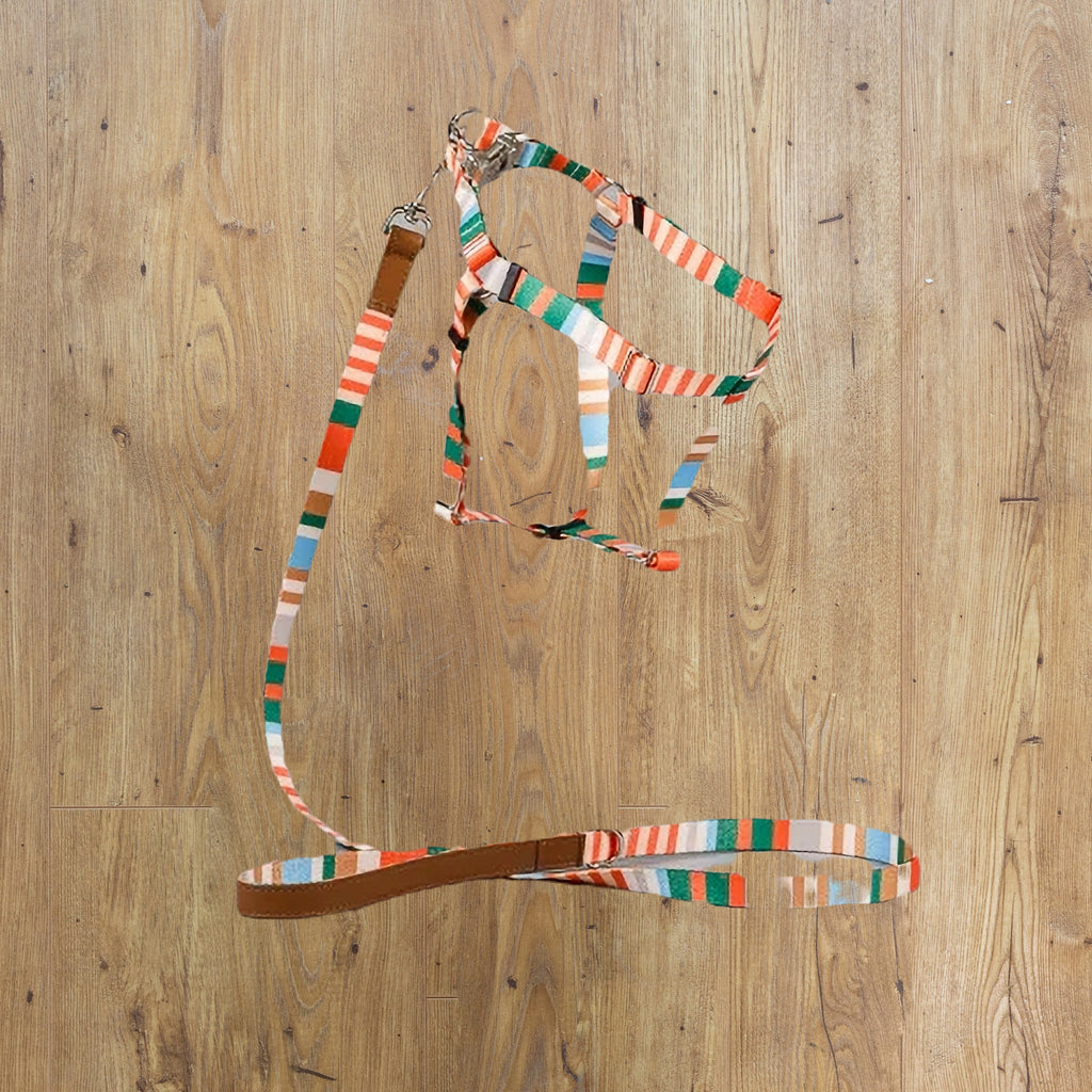WARE OF THE DOG - ORANGE MULTICOLOURED HARNESS - MEDUIM/LARGE image 0