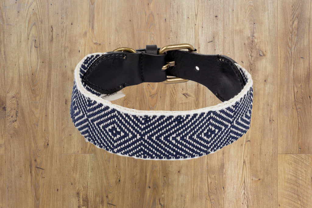 BUDDYS CAPRI PARTY NIGHT DOG COLLAR image 1