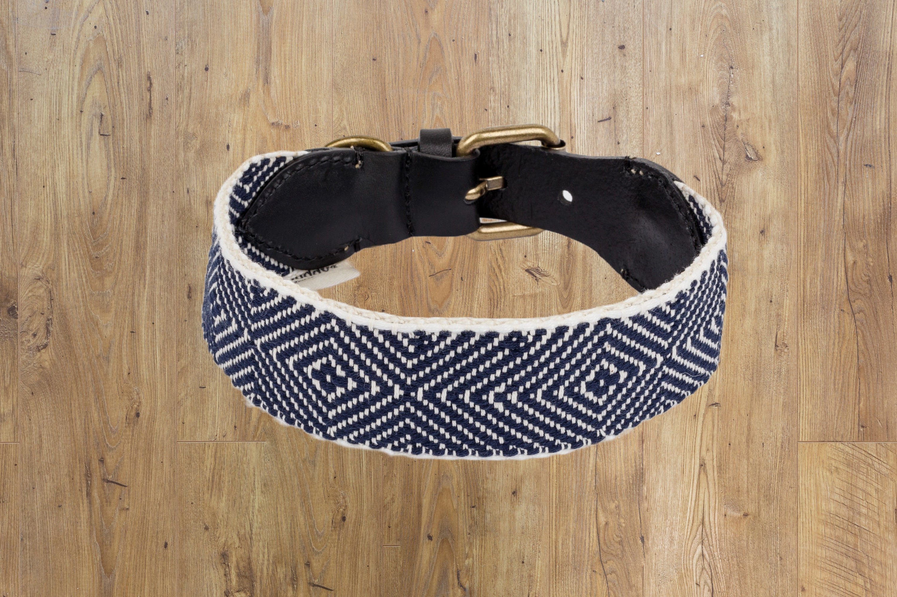 BUDDYS CAPRI PARTY NIGHT DOG COLLAR image 1