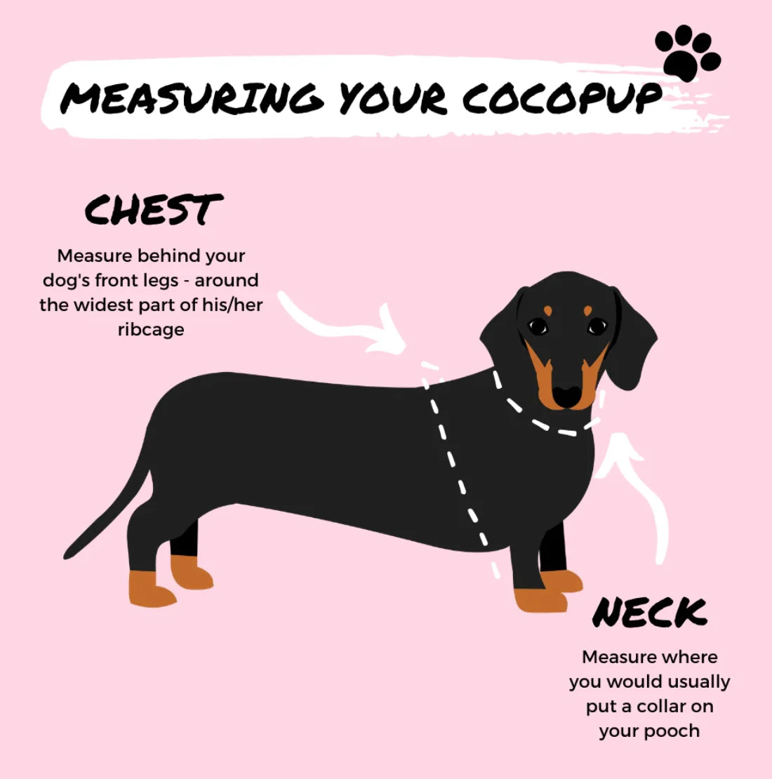 COCOPUP IVORY TORTE ADJUSTABLE HARNESS image 2