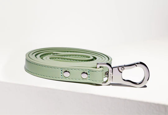 LEASH - SAGE image 0