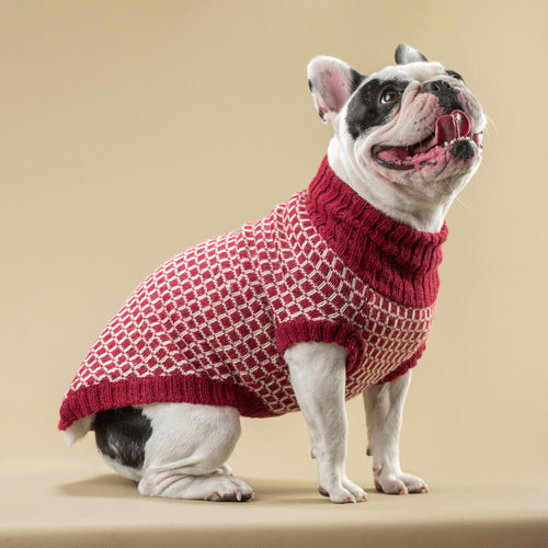 ALQO WASI SQUARE/RED ALPACA SWEATER image 1