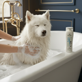 Artero Baby Shampoo – Dog Bath Lifestyle Shot