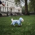 Bonapet Jumpsuit — rainy park