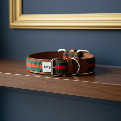 Collar on Shelf