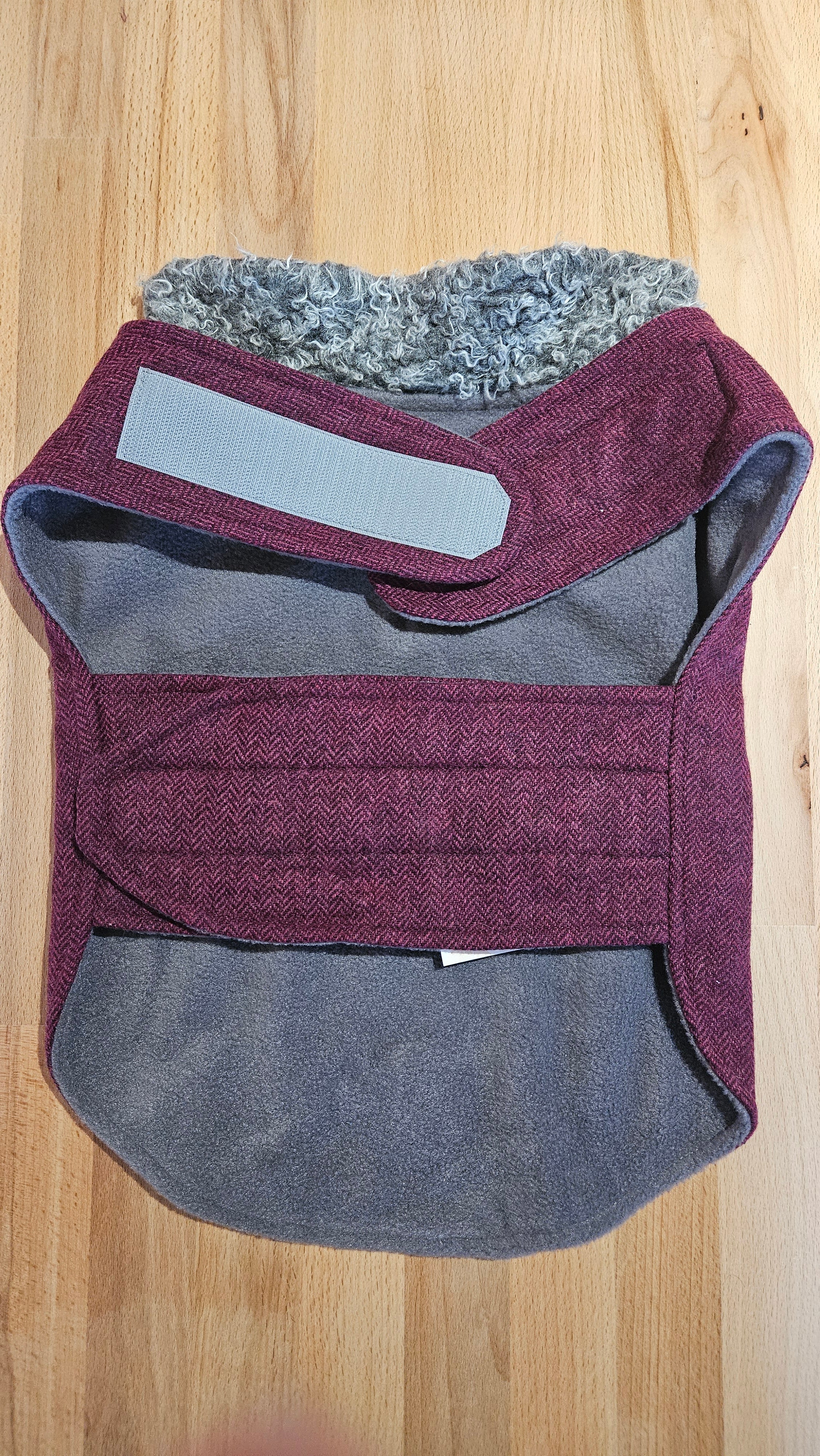 BLUE ATELIER MULBERRY AND GREY FRENCHIE COAT image 1