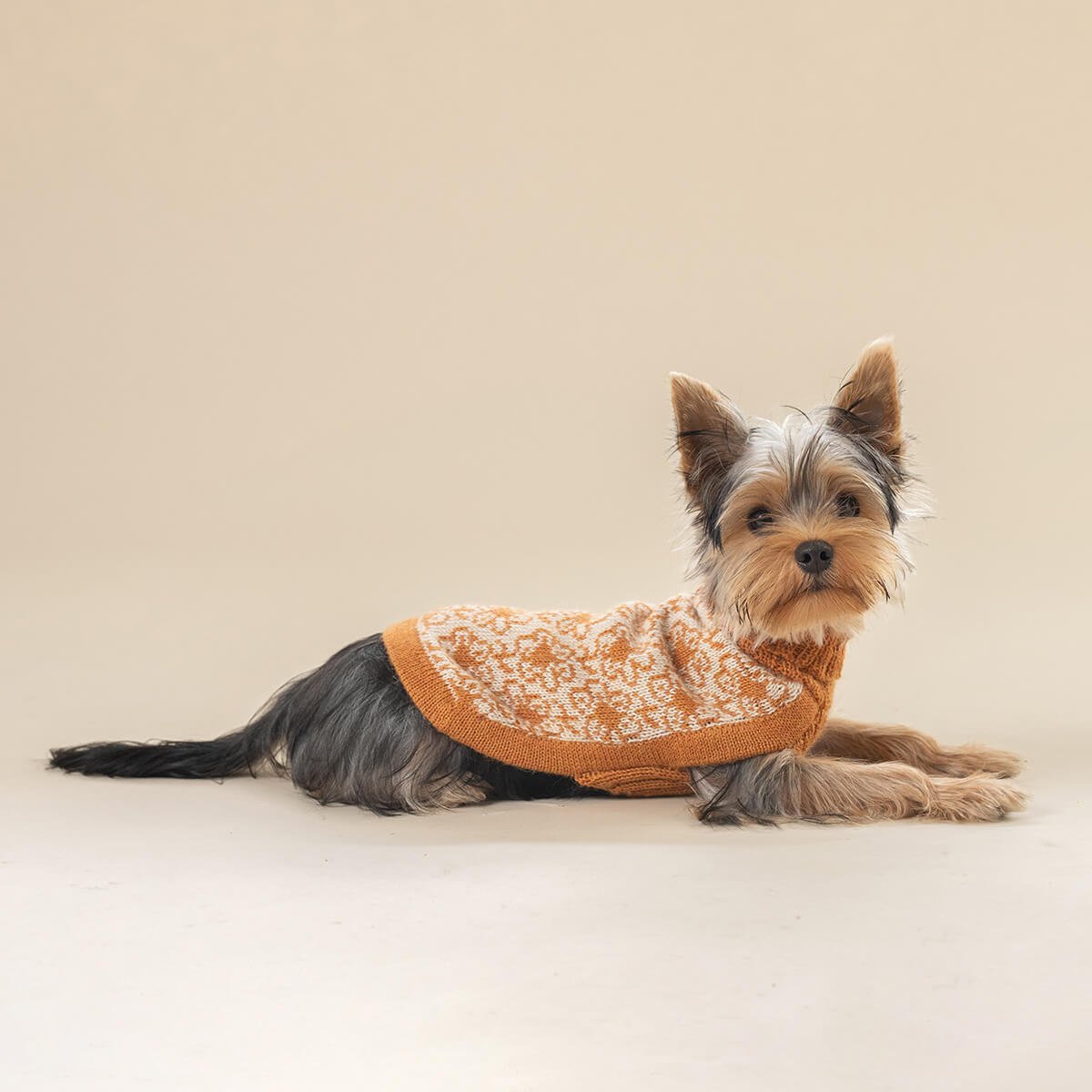 ALQO WASI BUTTERCUP ALPACA DOG SWEATER image 1