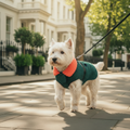 Green Blue Check Coat - Westie Lifestyle