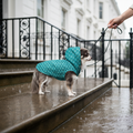Isaac Raincoat — Belgravia steps in rain