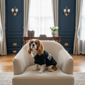 Karl Lagerfeld Jumper – Belgravia Home