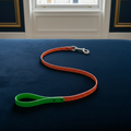 Ware of the Dog Neon Lead with Clasp