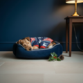 Wire-haired fox terrier in Christmas pyjamas in bed - square